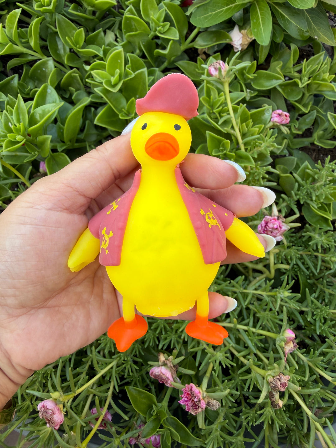 IN STOCK ~ Pirate Duck