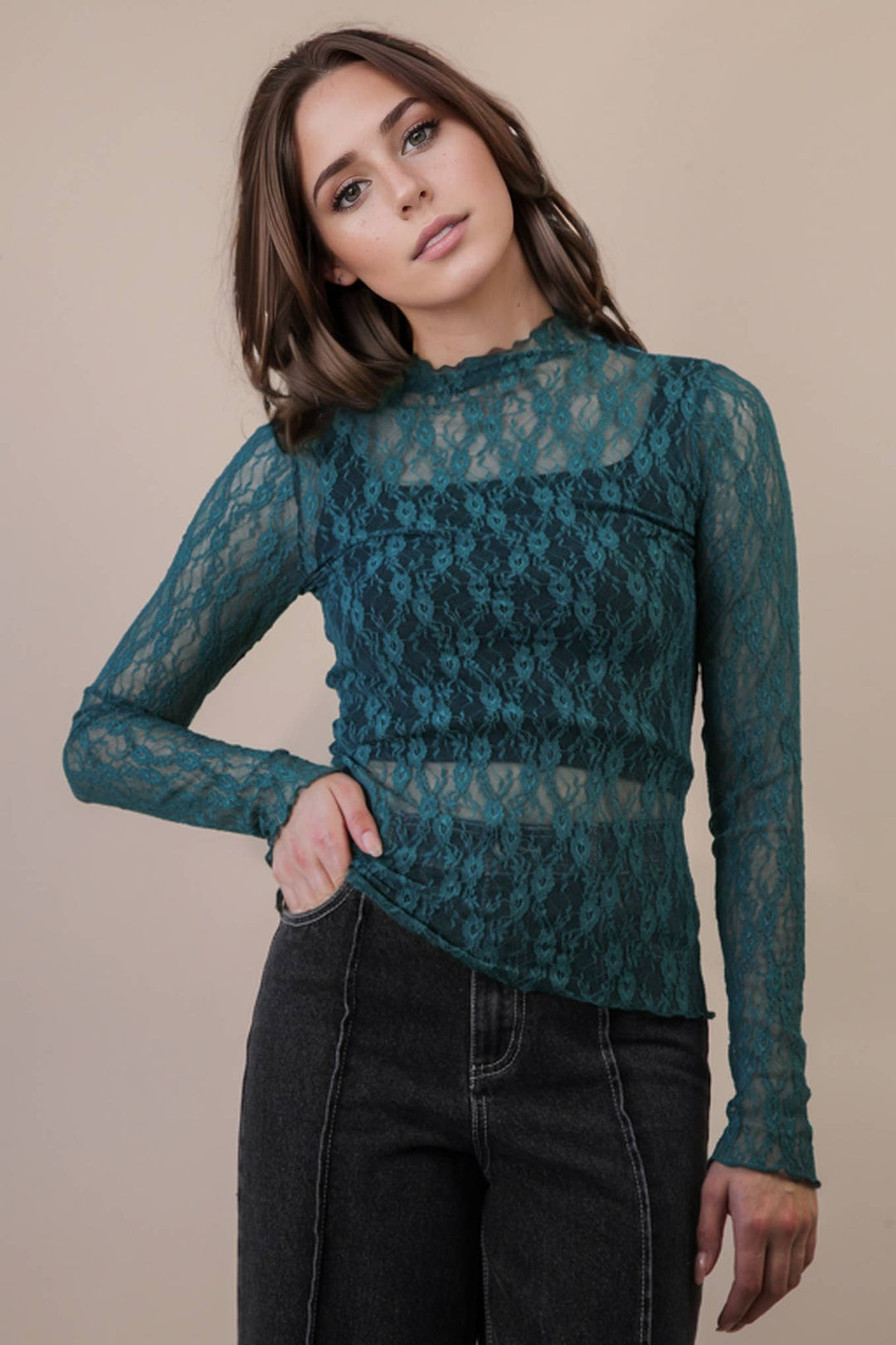 High Neck Fitted Sheer Mesh Lace Knit Top